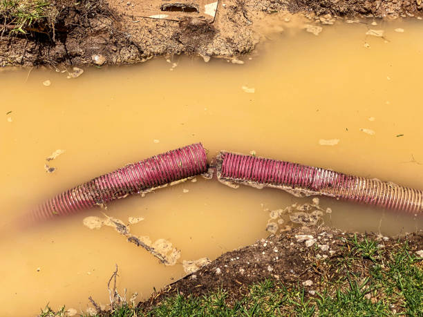 Water damage restoration mold remediation in Tenafly, NJ